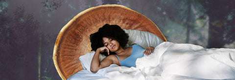 The Struggle is Real: Why Can't I Sleep?