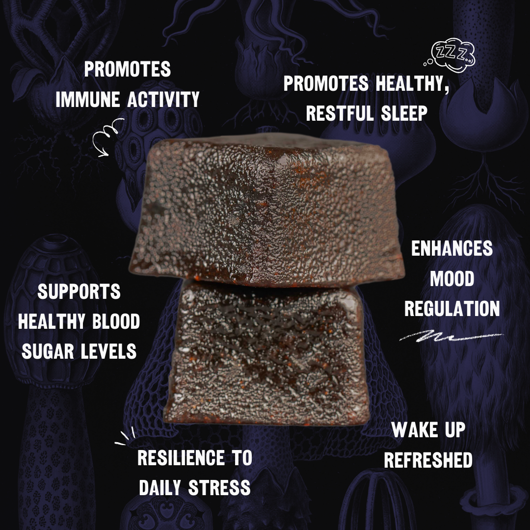 Reishi Sleep Gummies