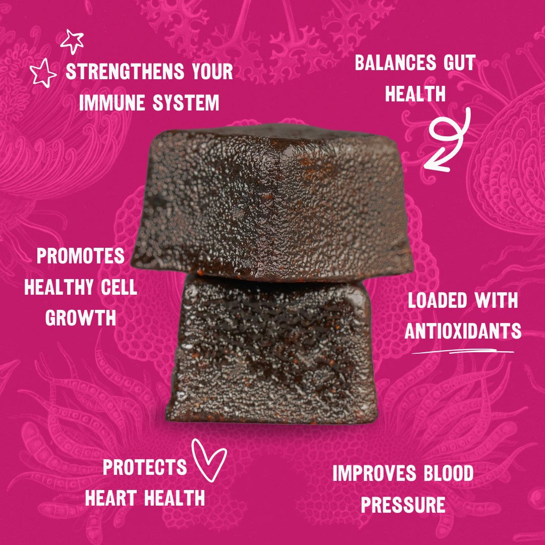 5 Mushroom Blend Immunity Gummies