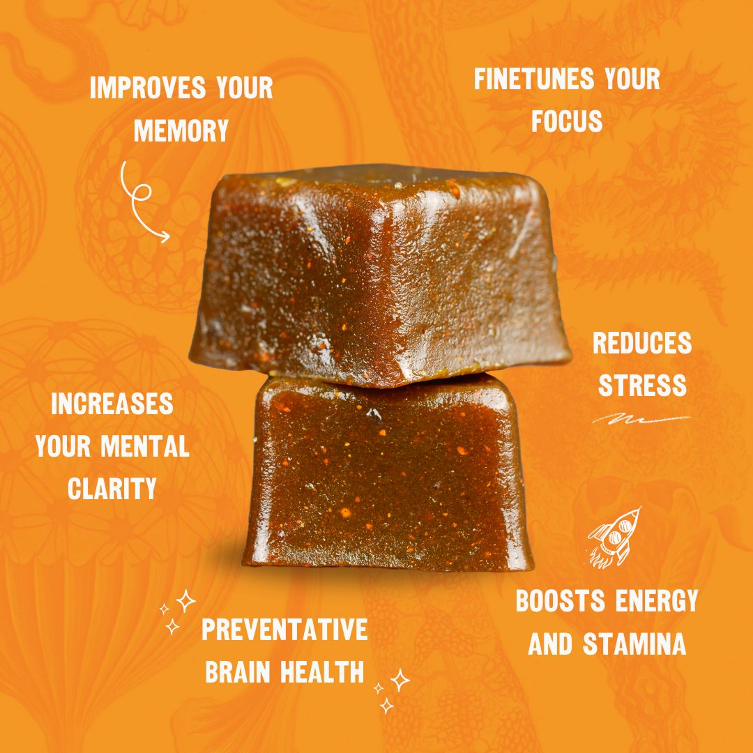 Lion's Mane Brain Health Gummies