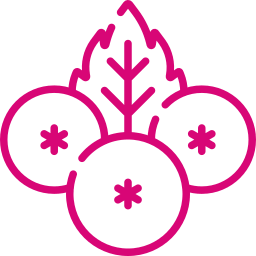 ELDERBERRY