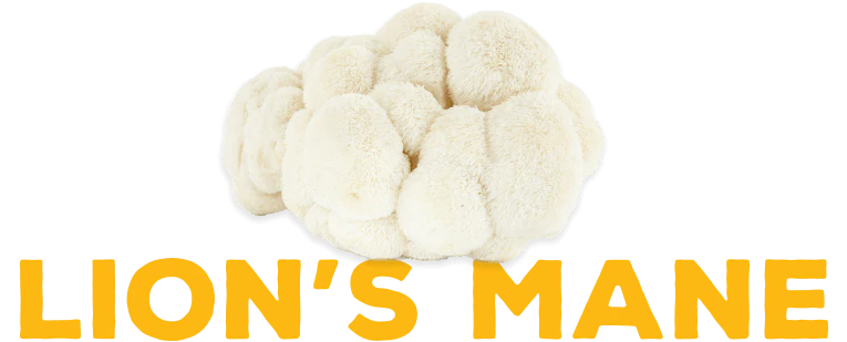 (Hericium erinaceus)