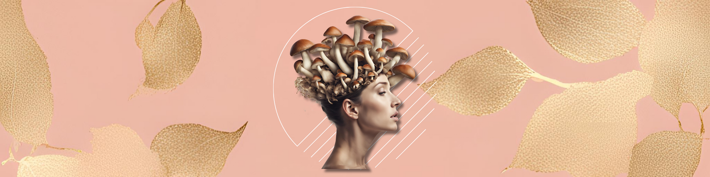 How OMFG Brain Health Gummies Boost Focus, Productivity, and Creativity